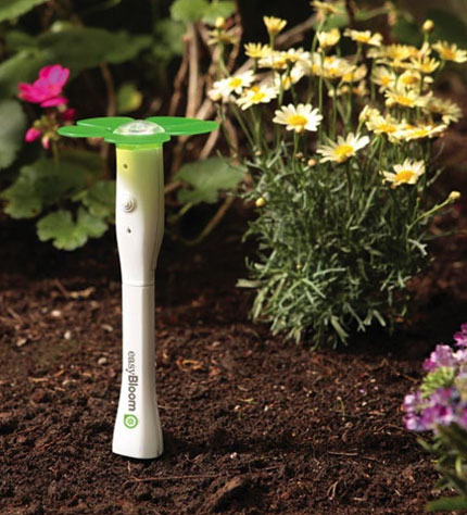 EasyBloom 