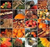 Thanksgiving planner (part 1) : Step-by-step guide to planning Thanksgiving dinner