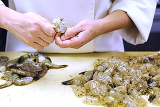 Top Chef Recap 5.9: Restaurant Wars