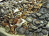 Do You Cook With Dried Mushrooms?