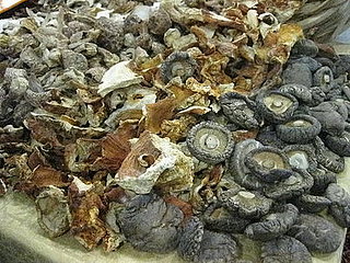 Do You Cook With Dried Mushrooms?