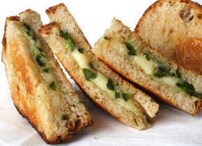 Sautéed Jalapeño and Aged Jack Grilled Cheese Sautéed Jalapeño and Aged Jack Grilled Cheese