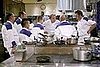 Let's Dish: Hell's Kitchen 4.3