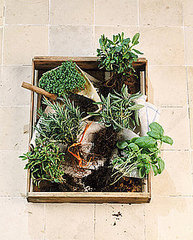 Ways to Make Your Kitchen Greener Ways to Make Your Kitchen Greener