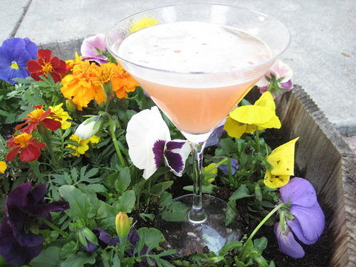 The Official Tartini Recipe From Sex and the City