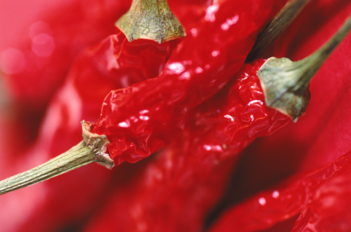 Do You Like Hot and Spicy Foods? Do You Like Hot and Spicy Foods?