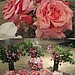 The Flowers