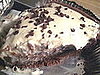 Theirs vs. Mine: Chocolate Caramel Cream Pie