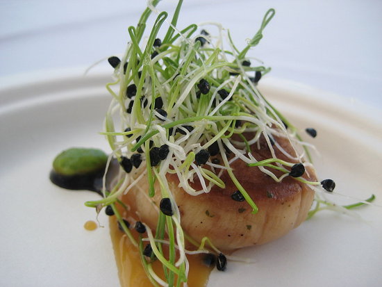 Sea Scallop
