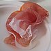 Prosciutto
