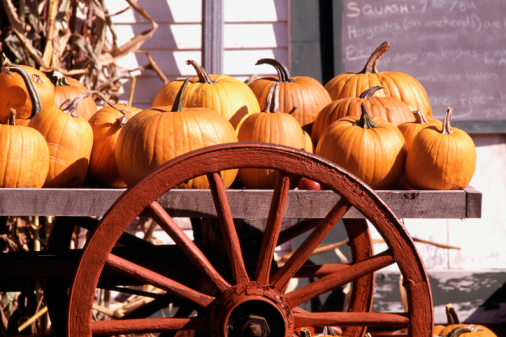 Come Party With Me: Pumpkin Patch Picnic — The Look Come Party With Me: Pumpkin Patch Picnic — The Look