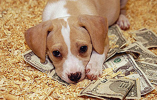 Give Back: Put Your Money Where Your Mouth Was
