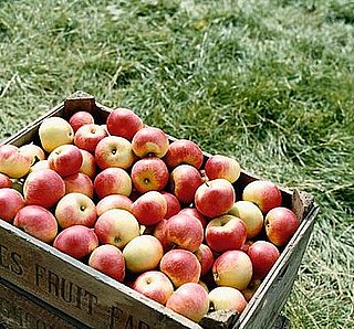 Budgeting For a Green Lifestyle