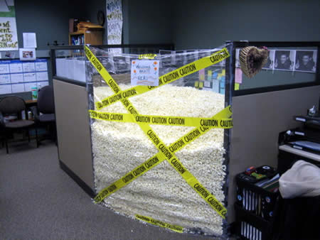I hope that packing foam is biodegradable. I hope that packing foam is biodegradable.