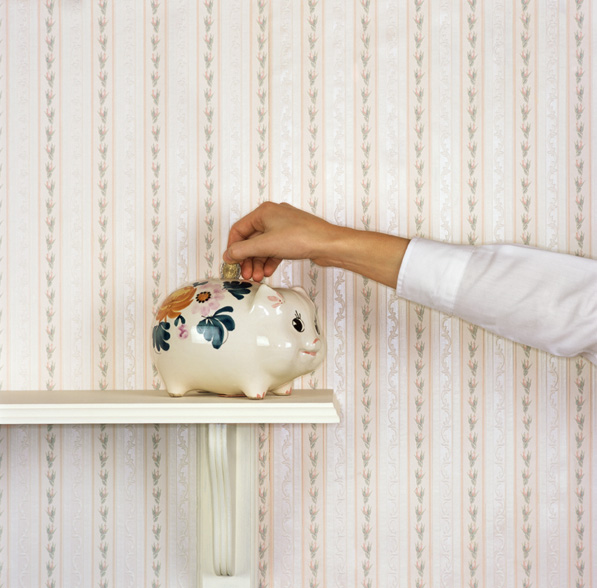 What to Put Your Money Into as a New Investor What to Put Your Money Into as a New Investor