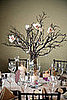 What Do You Consider a Reasonable Wedding Cost?