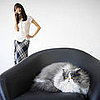 Oddest Jobs of 2008, From A to Z