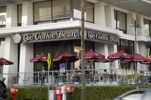 Why Do Coffee Shops Ask "For Here or to Go"?