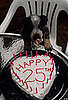 Do You Expect Guests to Pay For Your Birthday Dinner?