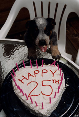 Do You Expect Guests to Pay For Your Birthday Dinner?