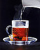Coming Down With a Cold? Drink Up