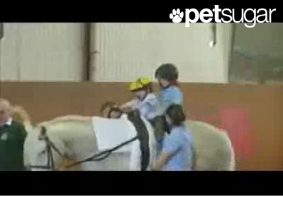 Horse Hero Helps Disease-Stricken Boy Horse Hero Helps Disease-Stricken Boy