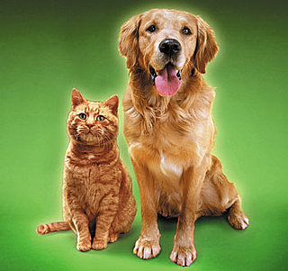 Will the Top 10 Dog and Cat Names of 2008 Surprise You?