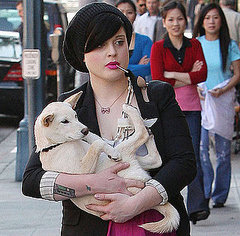 Do Tell: Would You Carry an Unleashed Dog Like Kelly O.? Do Tell: Would You Carry an Unleashed Dog Like Kelly O.?