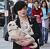 Kelly Osbourne Visits a Beverly Hills Medical Center Carrying Her Unleashed Shiba Inu Puppy