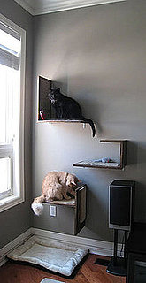DIY Perches Made With Your Cat in Mind: In the LINK of an Eye!