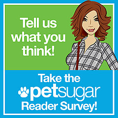 North's Begging For Your Help (and Peanut Butter) . . .