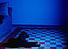 Do You Hide Certain Toys at Nightfall?