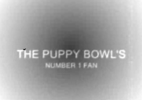 Will Your Pets Watch Puppy Bowl V?