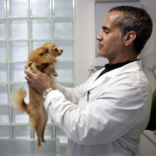 Top 10 Poisons Reported to Animal Poison Control Top 10 Poisons Reported to Animal Poison Control
