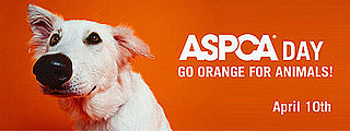 Happy ASPCA Day!
