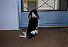 I Need Your Help . . . Separation Anxiety