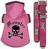 Found! Eva Longoria Parker's Pink Presents for Her New Puppy