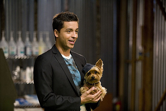 Meet the Groomer Has It Contestants 