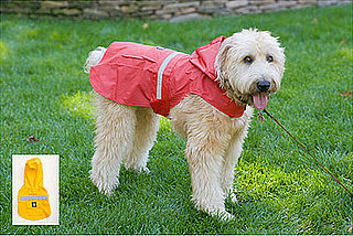 Come PetMarking With Me: April Showers