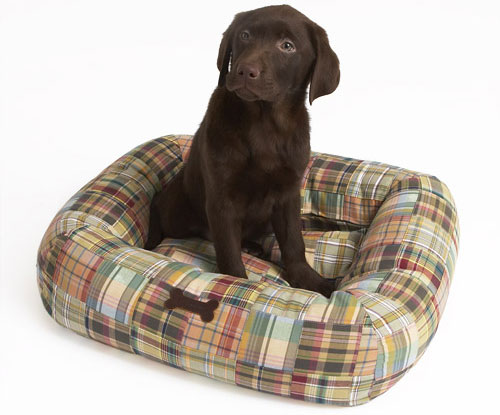Trend Setters: Madras Crewmutts
