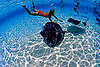 Creature Features: Stingrays