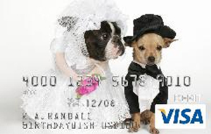 Gift Cards For the Big Day Starring Your Pet!