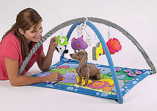 Puppy Builders Gym Set: Spoiled Sweet or Spoiled Rotten?