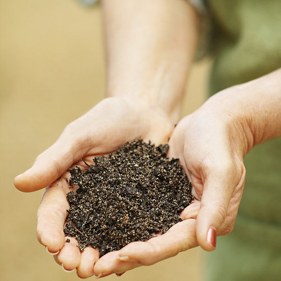 Soil Soil