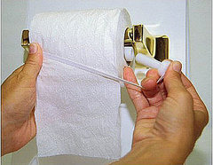 Protect Toilet Paper From Nosy Paws!