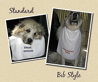Pampered Pals: Droolworthy Doggie Towels