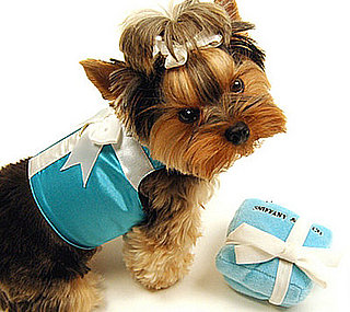 Tiffany's, Sniffany's – Your Pup Deserves It All!