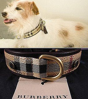 Found! Elizabeth Taylor's Sweet SATC Collar on the Cheap