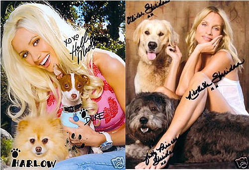 Milk-Bone eBay Celebrity Charity Auction Ends Saturday!
