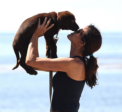 New Puppy Alert! Janice Dickinson